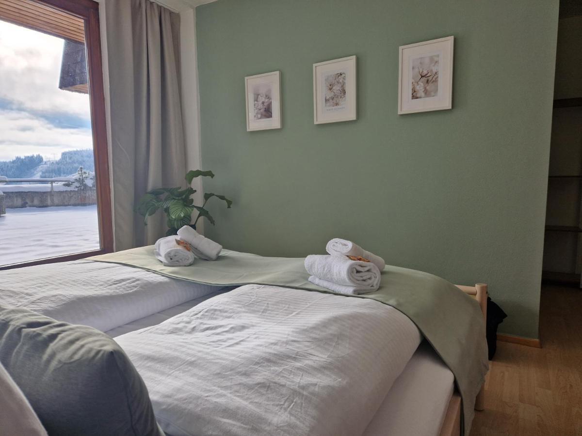 Grosse Terrasse, Netflix, 5Min Zum Skilift, 6 Personen, Waldnah, Schonach im Schwarzwald ภายนอก รูปภาพ